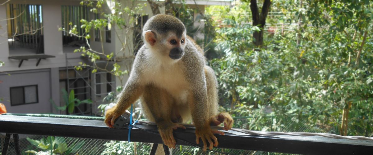 Costa Rica - January 2018