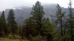 IMG_20140903_132708.jpg
