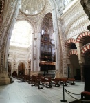 IMG_20220302_090847-Large.jpg IMG_20220302_090847-Large.jpg