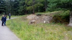IMG_20140903_162815.jpg