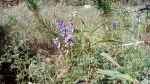 IMG_20140905_132147.jpg