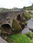 IMG_20220913_085046.jpg