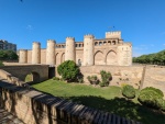 Malaga-Tangier-Zaragoza 5-2024-mt85 (Medium).jpg
