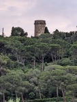 Malaga-Tangier-Zaragoza 5-2024-mt106 (Medium).jpg