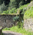 PXL_20251107_124002040a (Medium).jpg