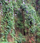 PXL_20251109_161905002a (Medium).jpg