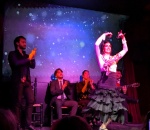 Flamenco-PXL_20260215_174012710a (Medium).jpg