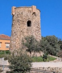 Museums-Archeology-PXL_20260220_120525433a (Medium).jpg