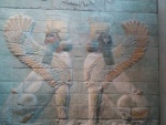 IMG_20160908_143422.jpg