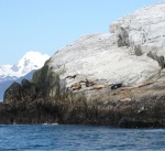 cg023a.jpg cg023a.jpg