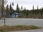 cg033.JPG
