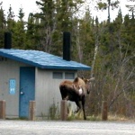 cg033a.jpg cg033a.jpg