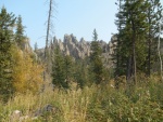 DSCN7485.JPG