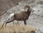 DSCN7313.JPG