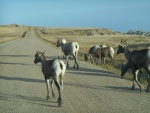 DSCN7340.JPG