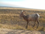 DSCN7343.JPG
