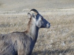 DSCN7350.JPG