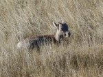 DSCN7360.JPG