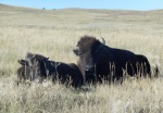 DSCN7442a.jpg