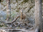 DSCN7431.JPG