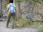 DSCN7435.JPG