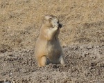 DSCN7329a.jpg