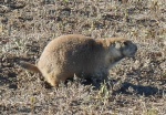 DSCN7365a.jpg