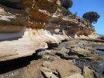 DSCN5773.JPG