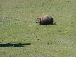 DSCN5780.JPG
