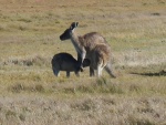 DSCN5816.JPG