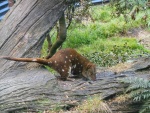 DSCN5897.JPG