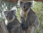 DSCN5908.JPG