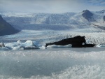 DSCN6306.JPG