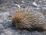 DSCN6006.JPG