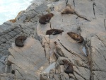 DSCN6022.JPG