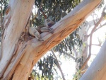 DSCN6054.JPG