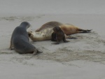 DSCN6088.JPG