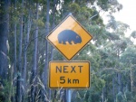 DSCN6125.JPG