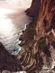 coastline-w.jpg
