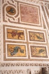 mosaic.jpg