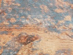 Petroglyphs1 (Large).jpg