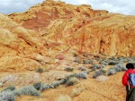 Vistas02 (Large).jpg