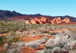 Vistas04 (Large).jpg