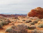 Vistas05 (Large).jpg