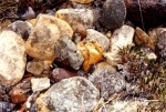 rocks.jpg