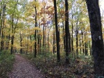 IMG_20211031_172210.jpg