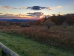 IMG_20211101_074912b.jpg