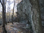 IMG_20211101_101854a.jpg