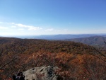 IMG_20211101_143529.jpg