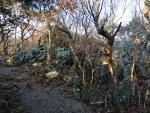 IMG_20211103_075932.jpg